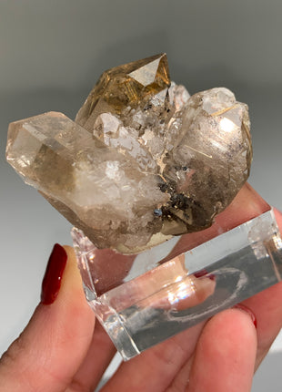 Rutile Quartz from Brazil - Collection # 079