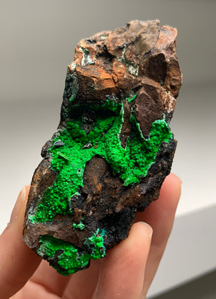 Vibrant Green Conichalcite ! From Spain