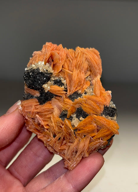 Orange Barite Flowers with Cerussite and Galena