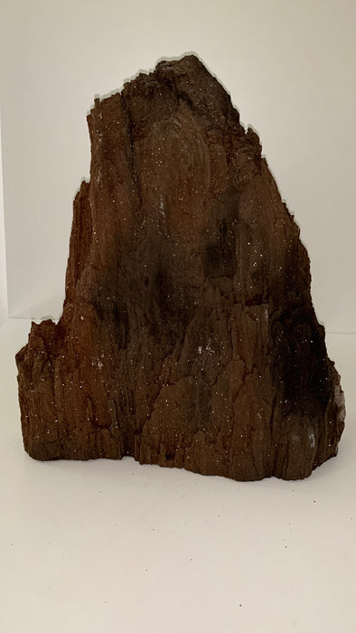 Stunning and Rare Permineralized Fossil Wood with Quartz - 7.1 kgs !! From Germany 🔥🔥