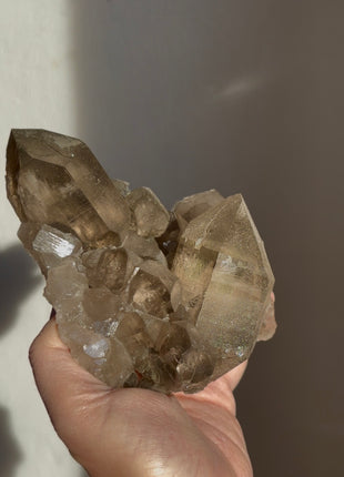 Alpine Smoky Quartz with Glittery Chlorite ! Wow