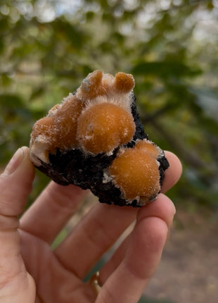 Bright Orange Thomsonite with Mesolite