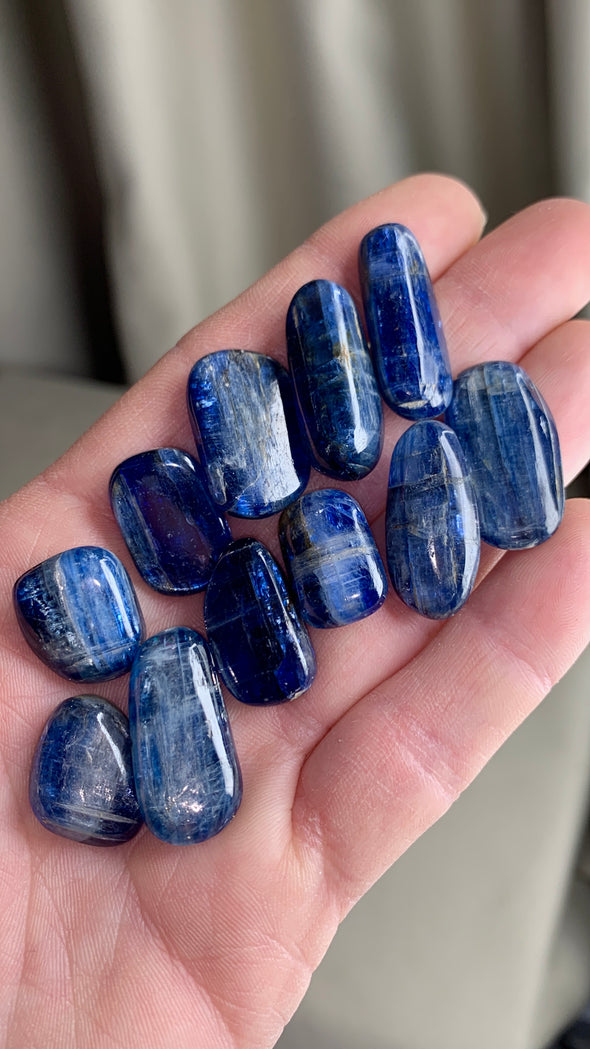 Blue Fire 🔥 Gemmy Kyanite from Nepal - 10 Piece Lot