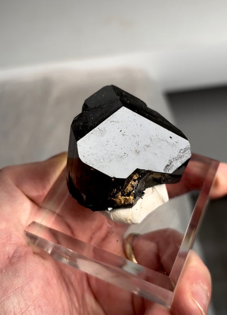 Black Tourmaline - From Erongo, Namibia