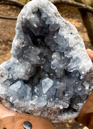 Sky Blue Celestite Geode 💎