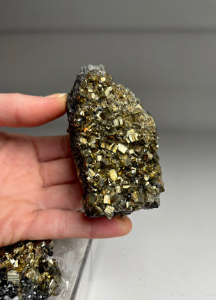 6 Pieces ! High Grade Pyrite with Needle Quartz Lot