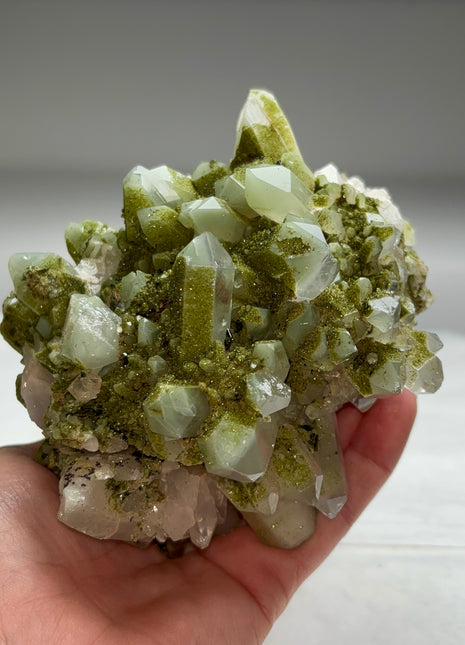 Rare ! Druzy Green Epidote with Quartz