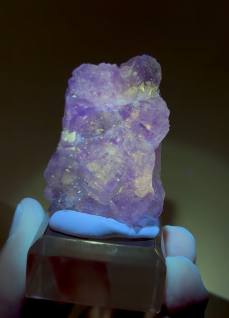 New Arrival ! Galaxy Fluorite