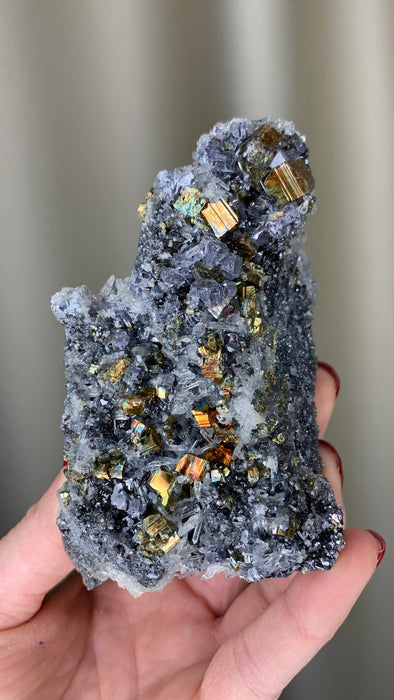 Rainbow Pyrite ! with Quartz, Galena, Sphalerite - Borieva mine, Rhodope Mtns