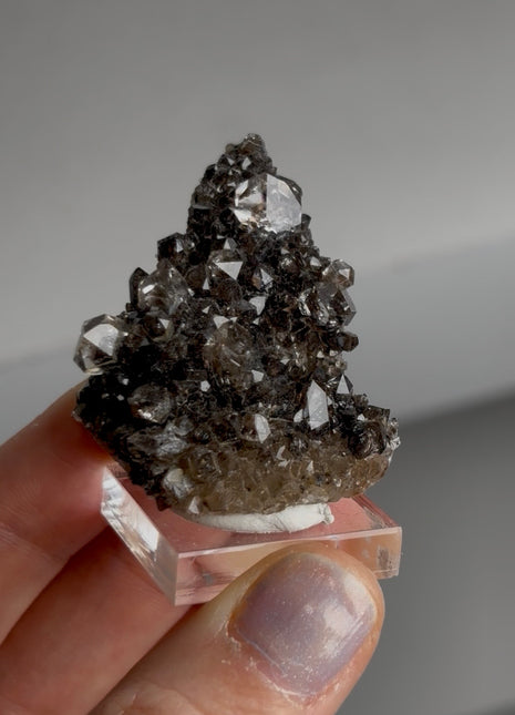 Black Herkimer Diamond Collection # 754