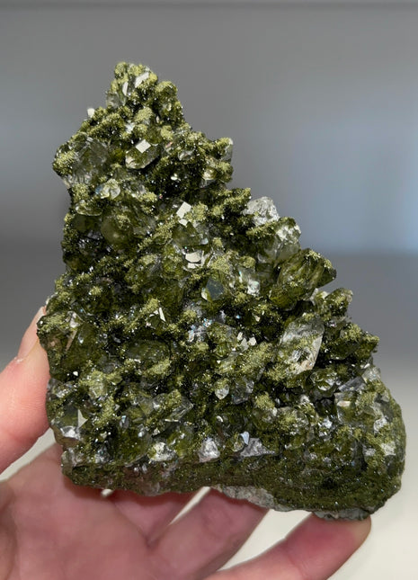 Forest Epidote with Quartz