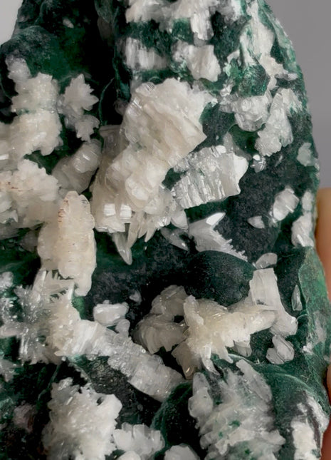 Cerussite with Malachite PM0268