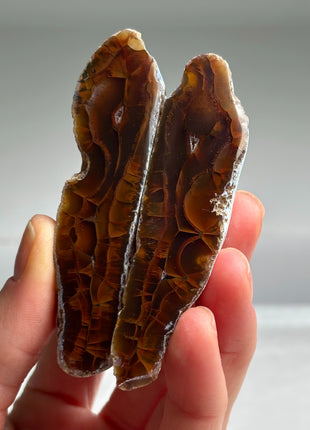 Black Sea Agate Pair