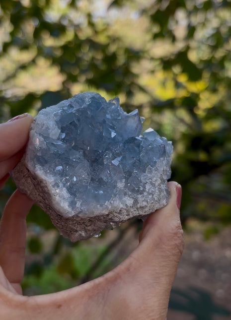 Gem 💎 Sky Blue Celestite