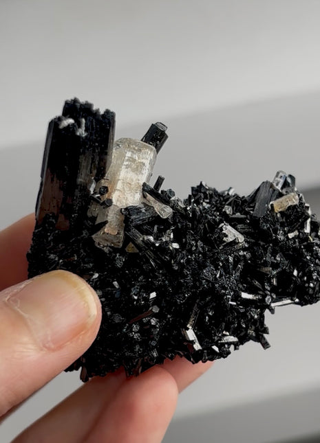 Black Tourmaline with Beryl PM1409