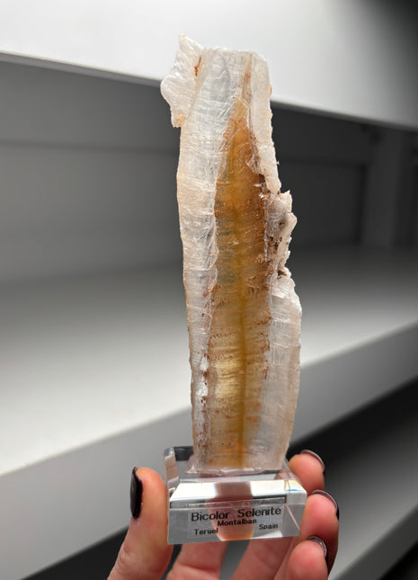 Icy Golden Selenite from Spain