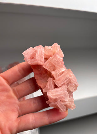 9 Piece Lot ! High Grade Pink Halite from Searles Lake, California