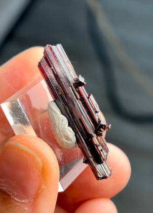 Red Rutile from Diamantina mine, 1990s find PM0848