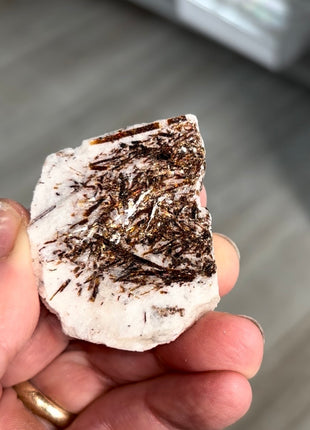 Astrophyllite Specimen from Khibniy Massif, Russia