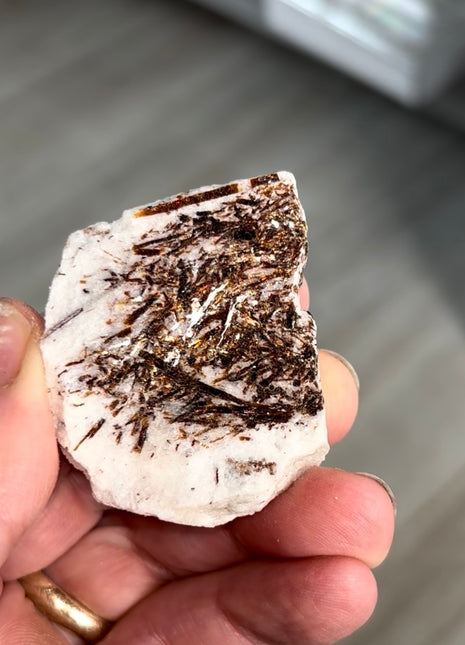 Astrophyllite Specimen from Khibniy Massif, Russia