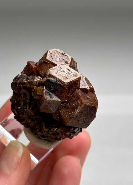 Chocolate Andradite Garnet