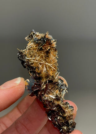 Golden Rutile with Metallic Hematite