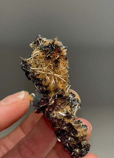 Golden Rutile with Metallic Hematite