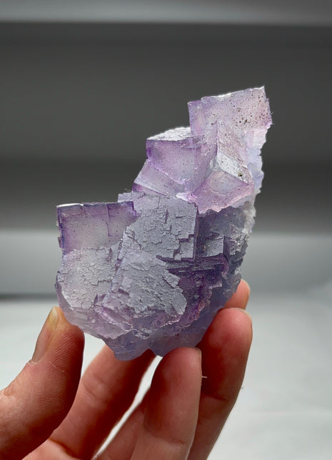 Blue Purple Fluorite from Denton mine Collection # 426