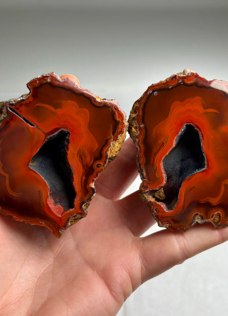 Wow ! Black Sea Agate Geode Pair
