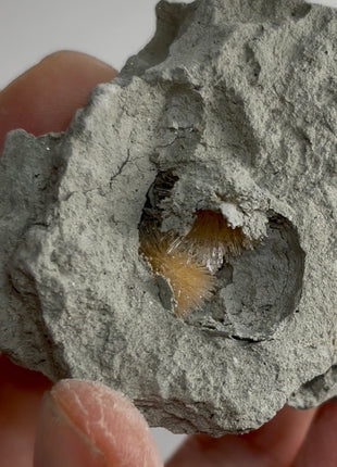 Bursting Sun Aragonite in Cluster - From Pantoja, Spain