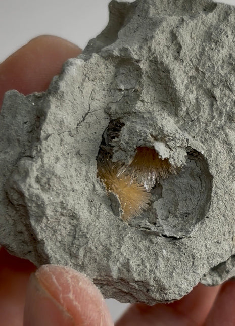 Bursting Sun Aragonite in Cluster - From Pantoja, Spain