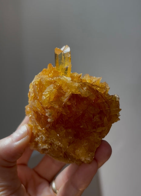 Golden Honey Selenite from Peru 💎 PM0407