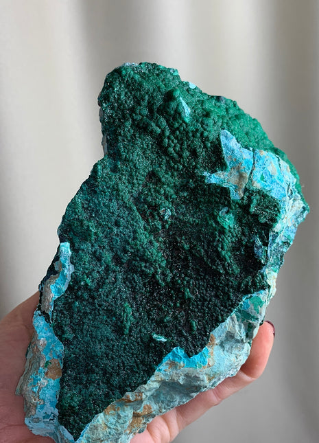 Lustrous Green Malachite with Bright Blue Chrysocolla - From DRC