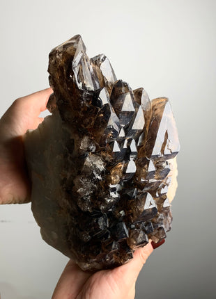 Incredible Elestial Smoky Quartz on White Quartz - 3.5 kgs, From Namibia 🩶🩶