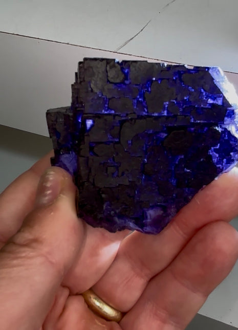 Blurple Fluorite from Muzquiz, Mexico