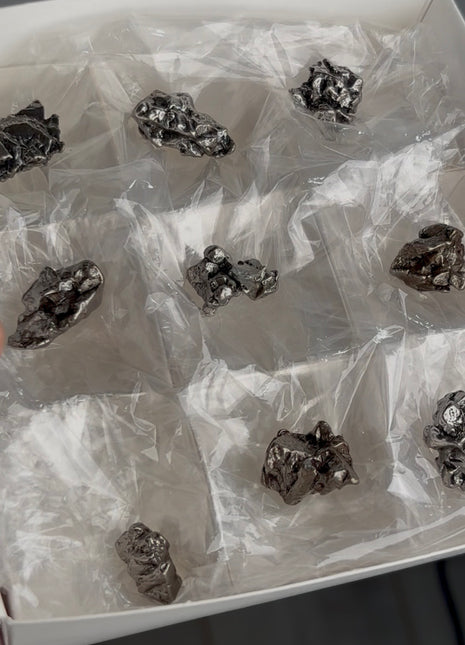 9 Pieces ! Campo del Cielo Meteorite Lot
