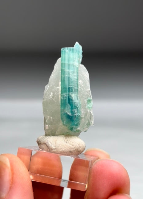 Blue Green Tourmaline with Quartz