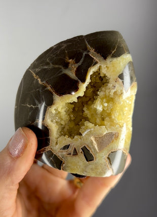 Septarian Geode from Utah