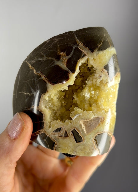 Septarian Geode from Utah