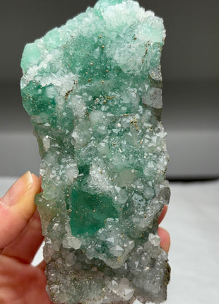 Green Fluorite with Quartz, Pyrite from El Hammam mine Collection # 402