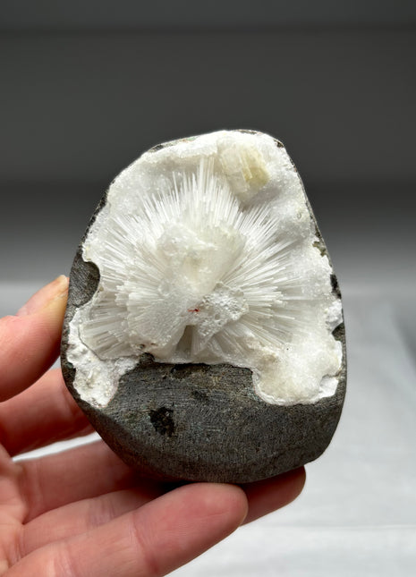 Scolecite Flower Geode with Druzy Quartz