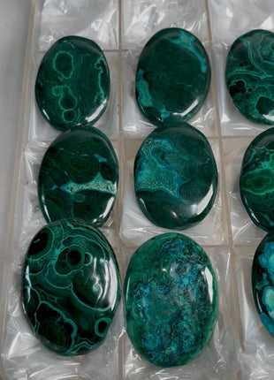 High Grade MalaColla Palmstone Lot ! 9 Pieces