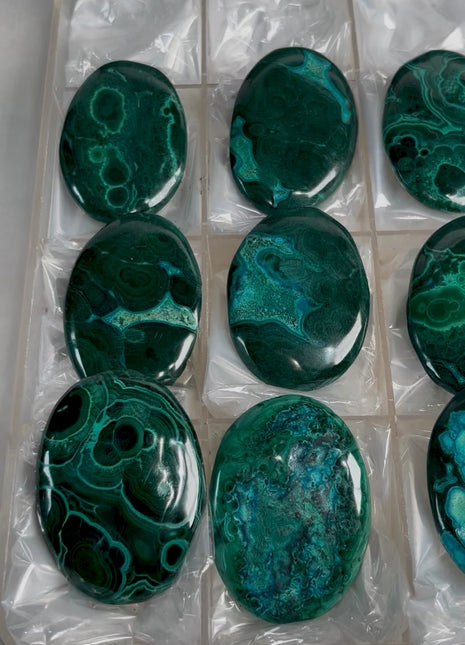 High Grade MalaColla Palmstone Lot ! 9 Pieces