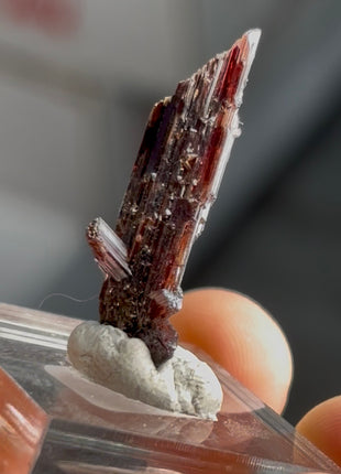 Red Rutile from Diamantina mine, 1990s find PM0856