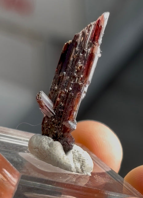 Red Rutile from Diamantina mine, 1990s find PM0856