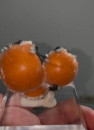 Top Class Orange Thomsonite with Mesolite