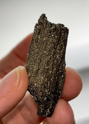 Rare ! Pyritized Petrified Wood PM0694