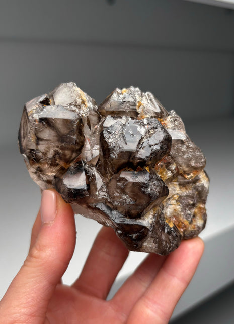 Elestial Smoky Quartz