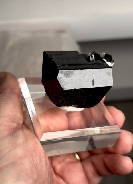 Black Tourmaline - From Erongo, Namibia