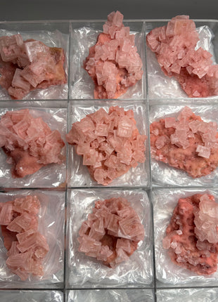 9 Piece Lot ! High Grade Pink Halite from Searles Lake, California